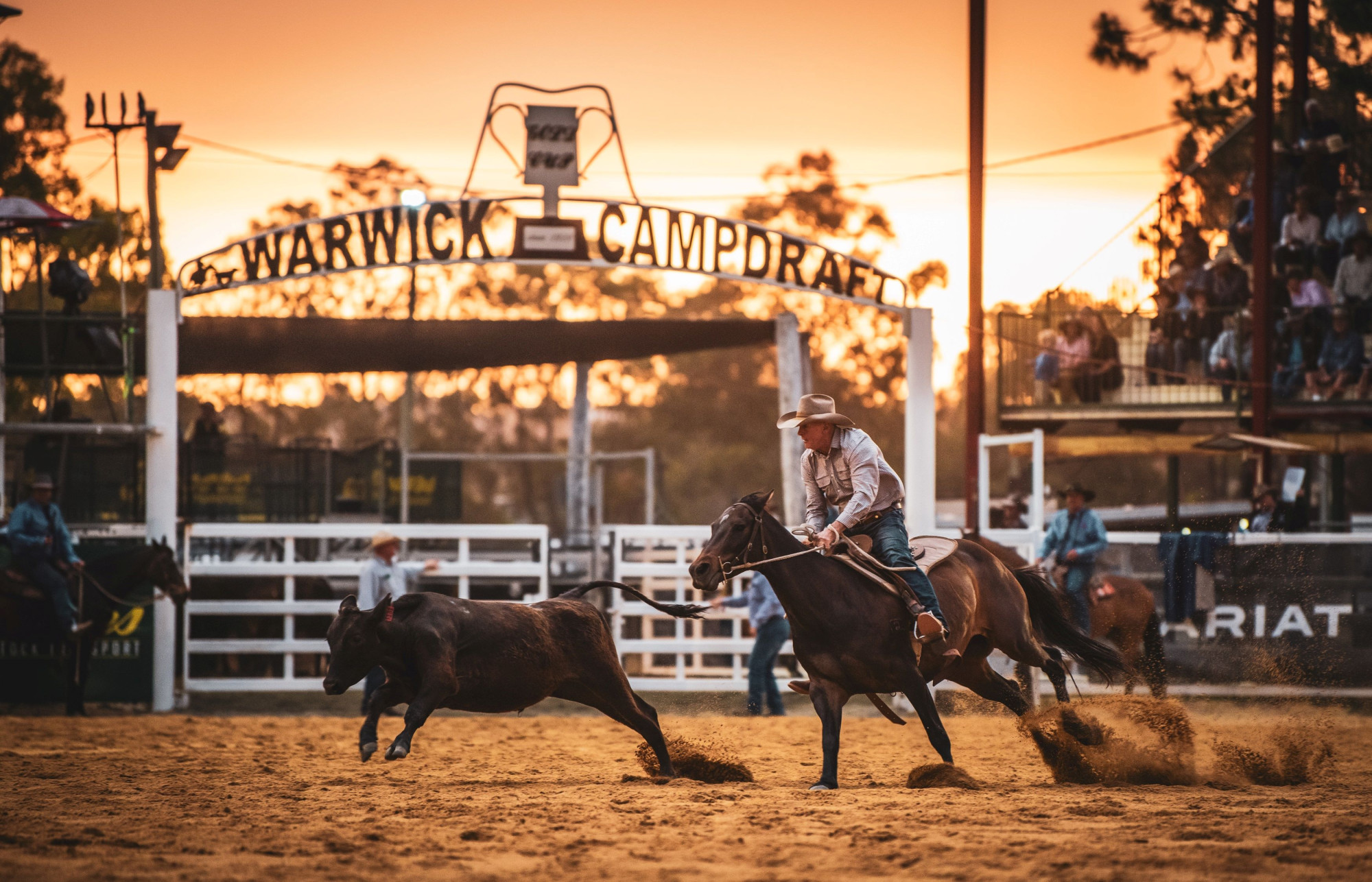 Youth employment success - WARWICK SHOW & RODEO SOCIETY