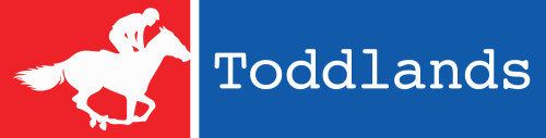 Youth Employment Success employer Toddlands logo