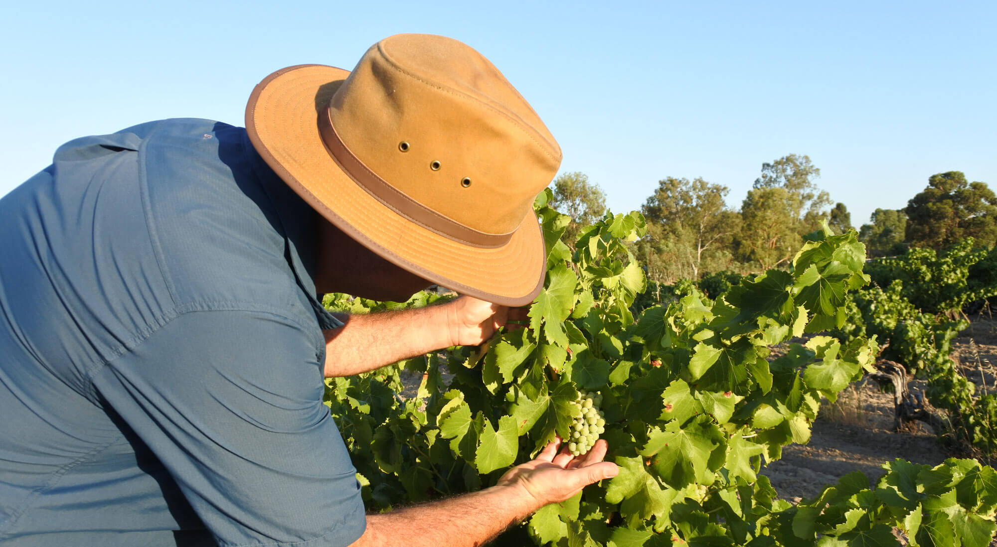 Youth employment success - Regional Development Australia