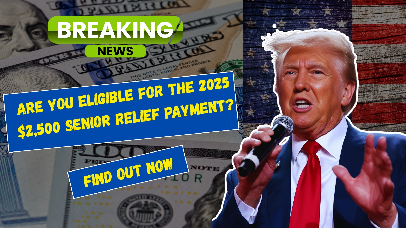 Senior Relief Payment